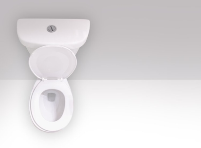Eco-friendly dual flush toilet