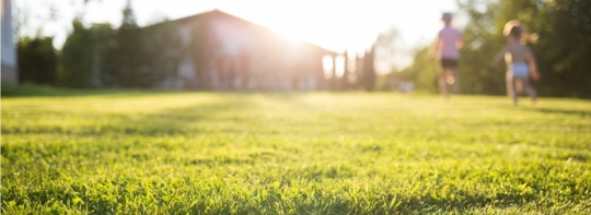 Sunny grassy field with children playing.