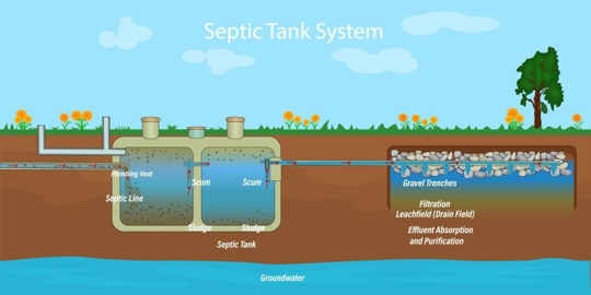 Septic tank and drain field diagram.