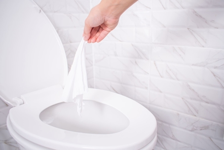 wipe in toilet