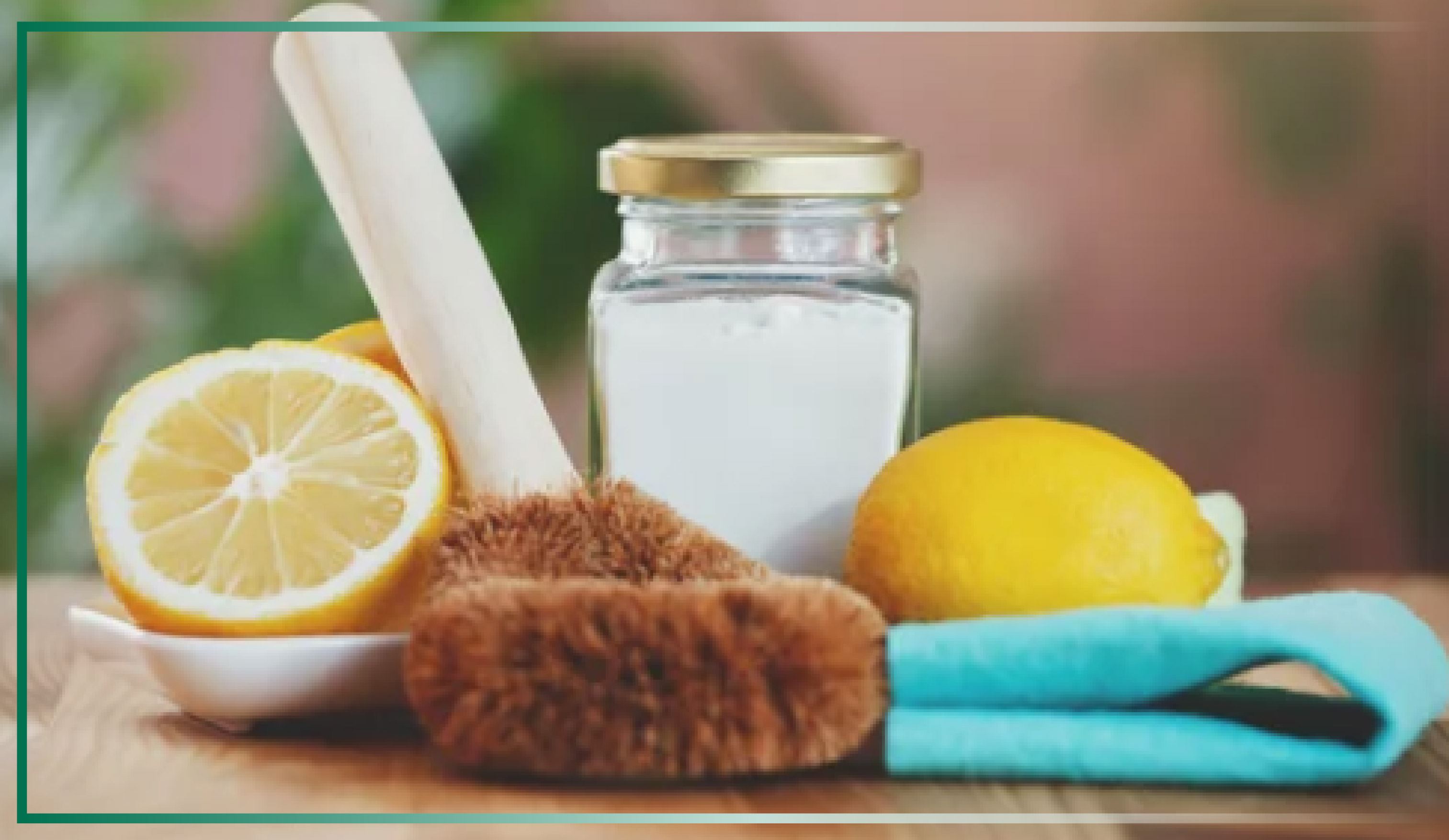 Spring Cleaning: What Home Cleaning Products are Safe for Your Septic System?