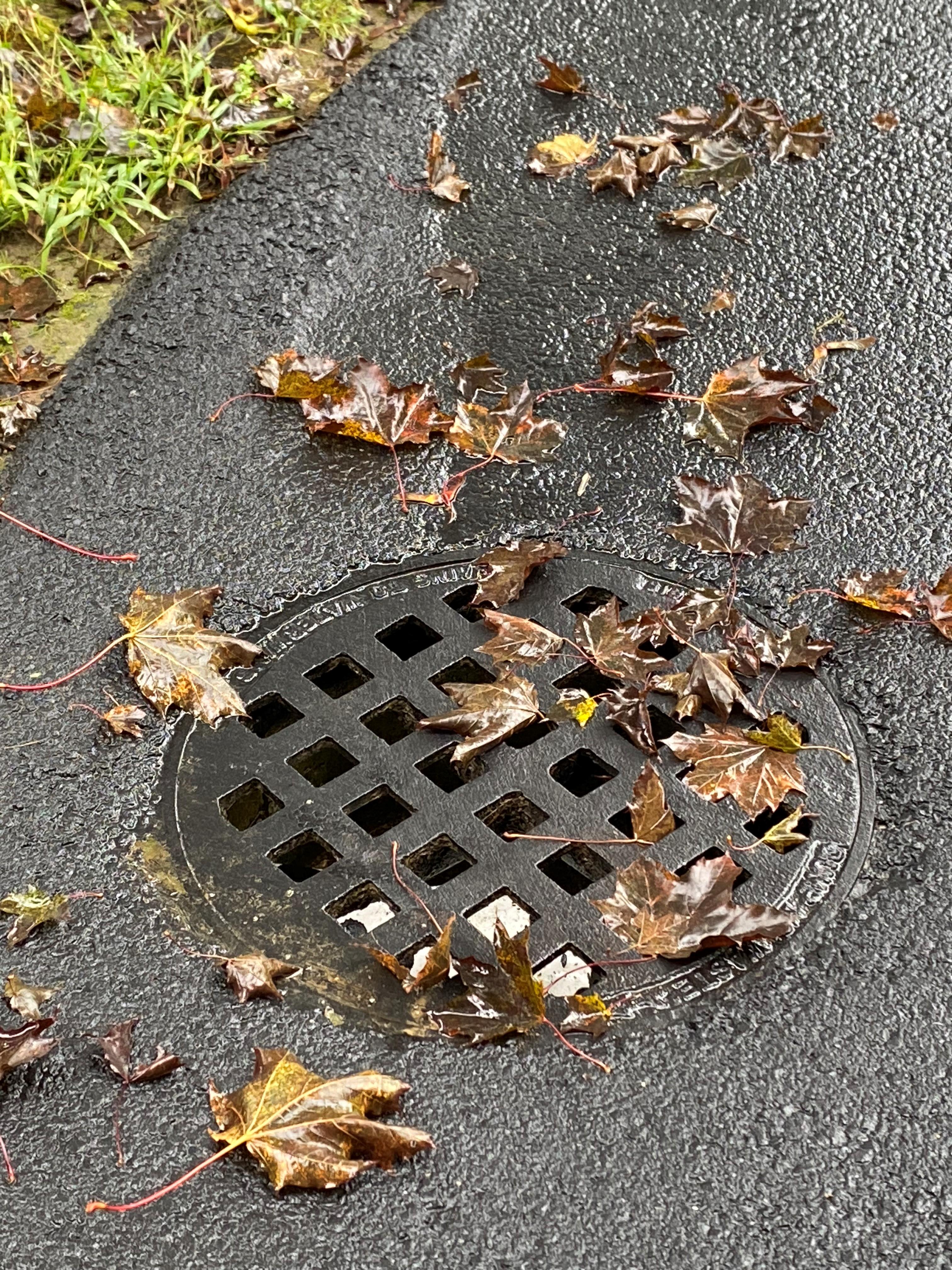 catch basin