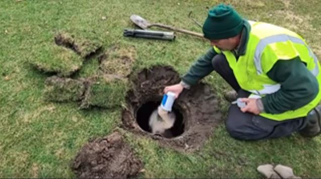 septic additives